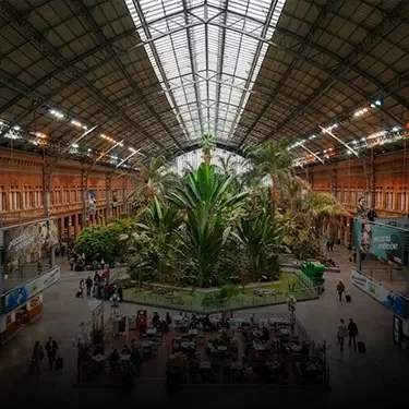 Alquilar coche en Atocha