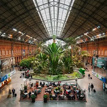 Alquilar coche en Atocha